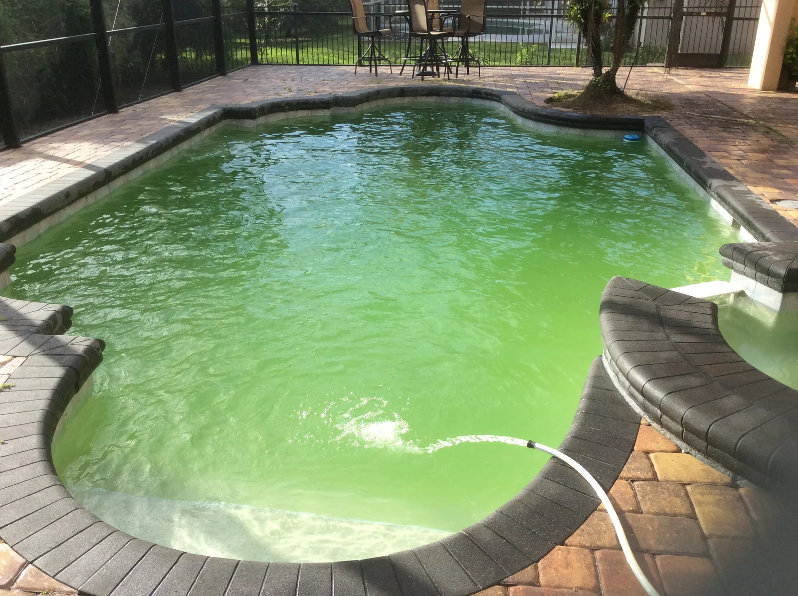 From green to clear before